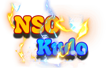 NSO Logo